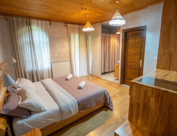 Double or Twin Room (1)